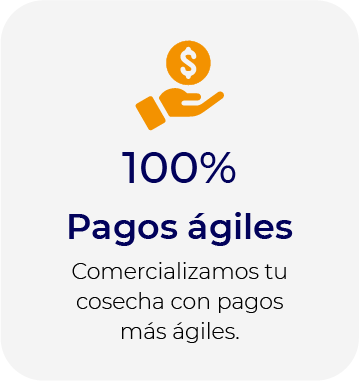 Pagos agiles
